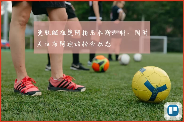 曼联瞄准楚阿梅尼和斯科特，同时关注布阿迪的转会动态